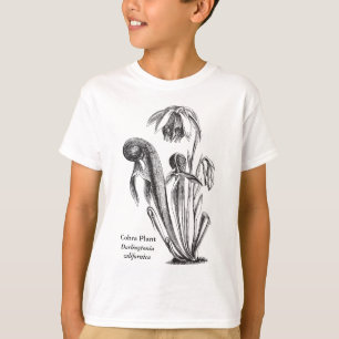 Camiseta Californica del Darlingtonia, planta carnívora