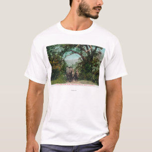 Camiseta Calistoga y diligencia del géiser en el camino de