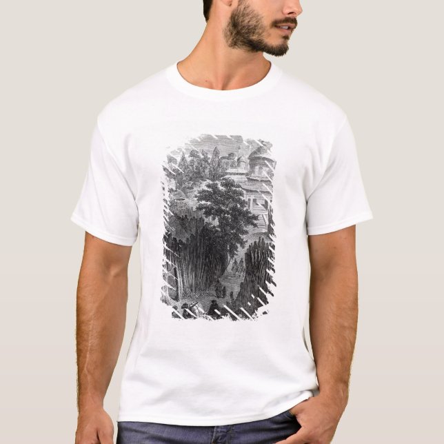 Camiseta Calle en Urga (Anverso)