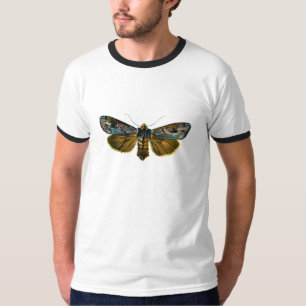 Camiseta Calocampa vetusta