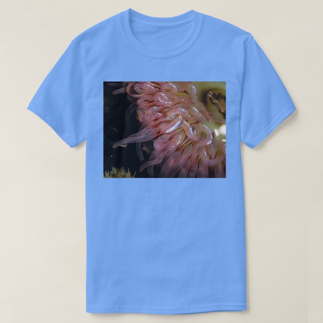 Camiseta calumnioso (Diseño del anverso)