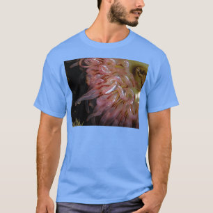 Camiseta calumnioso