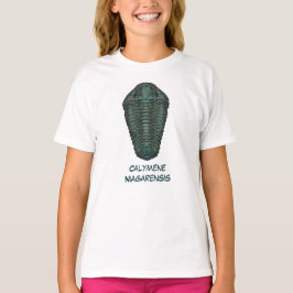 Camiseta Calymene Niagarensis Trilobita