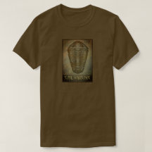 Calymene Sepia Trilobita de moda paleo