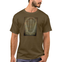 Calymene Sepia Trilobite Paleo-chic