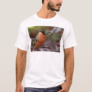 Camiseta Camachuelo común