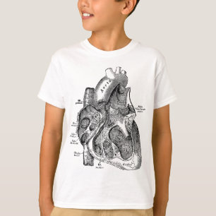 Camiseta Cámara derecha del Tee de Anatomía del Corazón Hum