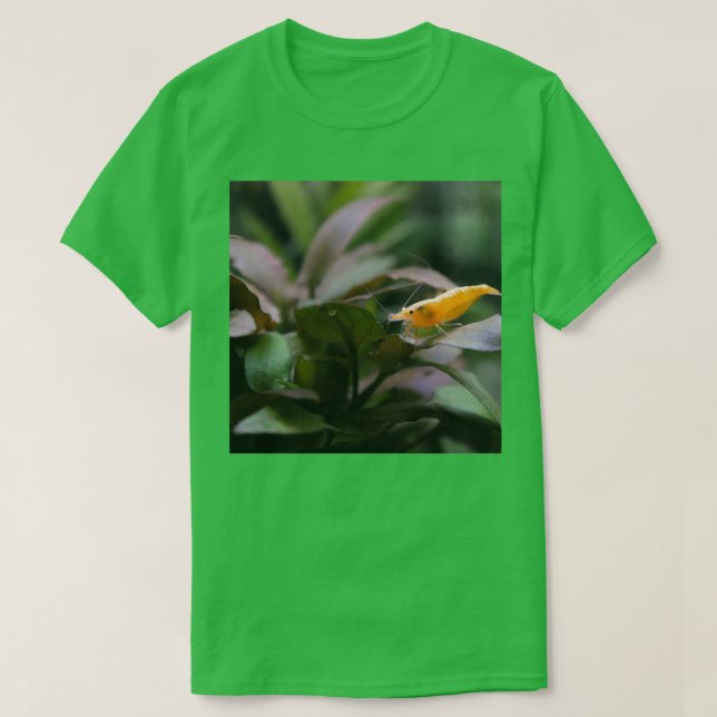 Camiseta Camarón acuario (Diseño del anverso)