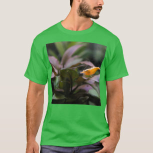 Camiseta Camarón acuario