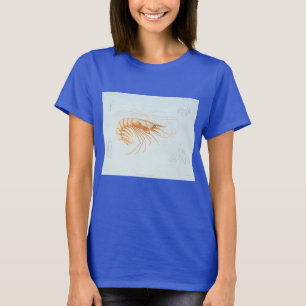 Camiseta Camarón o Langostino, Vida Marina Vintage Animales