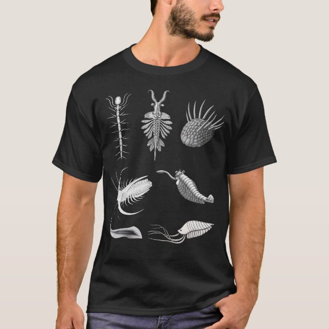 Camiseta Cambrian Creatures Fossil Paleoart Evolution Scien (Anverso)