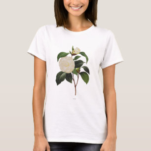Camiseta Camelia blanca, 1833