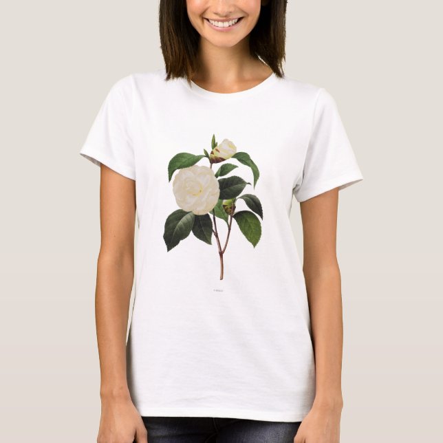 Camiseta Camelia blanca, 1833 (Anverso)