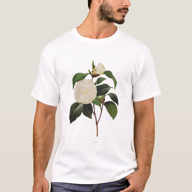 Camiseta Camelia blanca, 1833 (Anverso)