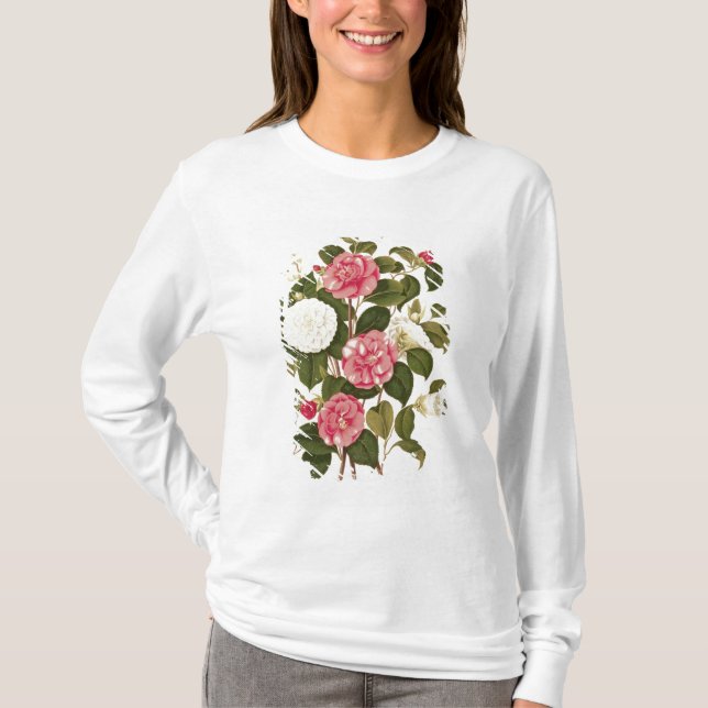 Camiseta Camelia "de una monografía en los géneros (Anverso)