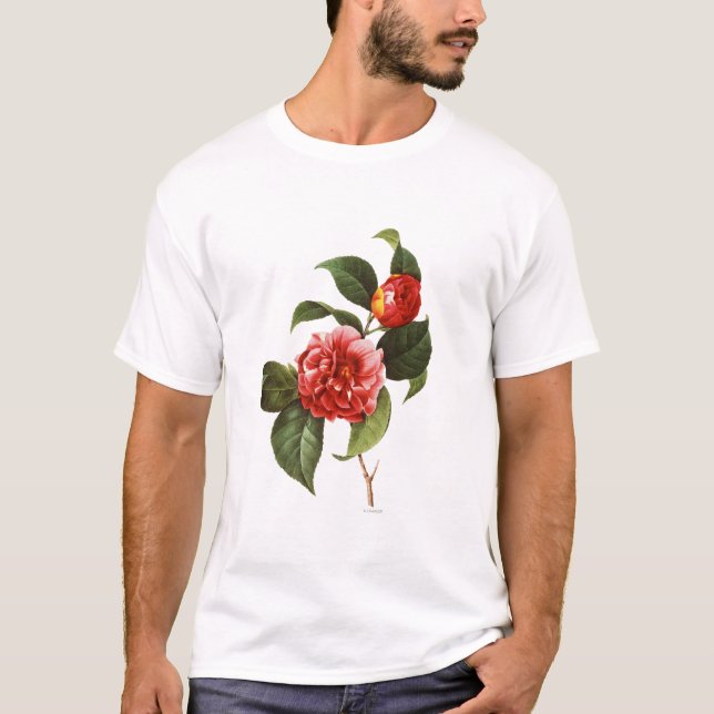Camiseta Camelia roja, 1833 (Anverso)