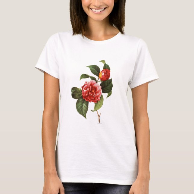 Camiseta Camelia roja, 1833 (Anverso)