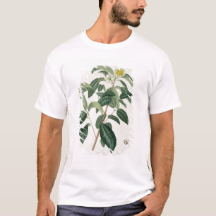 Camiseta Camelia Thea de "Phytographie Medicale" por Jose