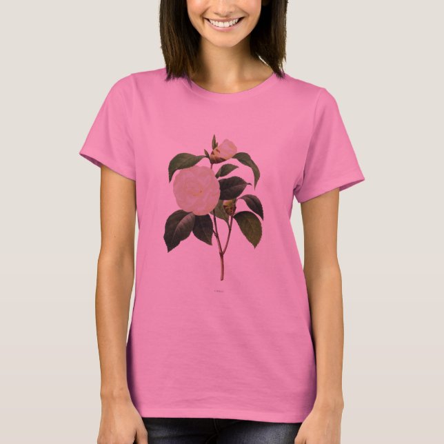 Camiseta Camellia Blanca, 1833 (Anverso)