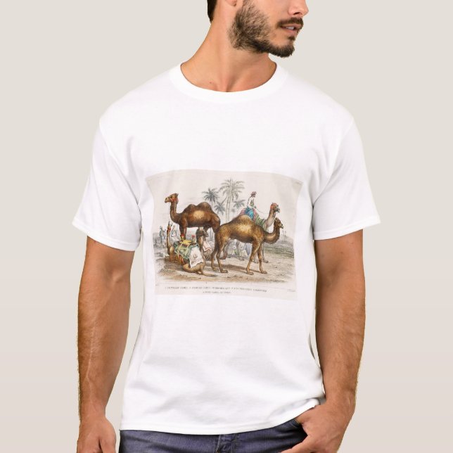 Camiseta Camello Bactriano, Camello Arábigo O Dromedary, Ca (Anverso)