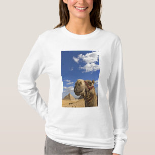 Camiseta Camello delante de las pirámides de Giza, Egipto,