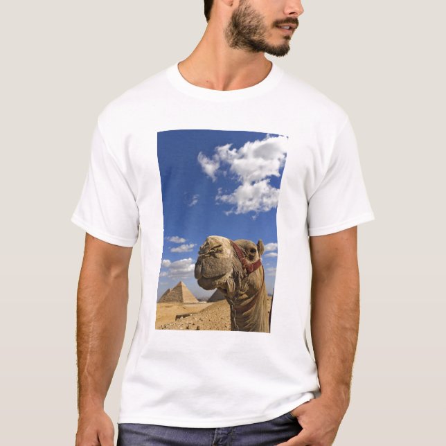 Camiseta Camello frente a las pirámides de Giza, Egipto, (Anverso)