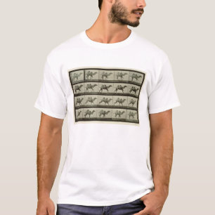 Camiseta Camello, placa de la "locomoción animal", 1887