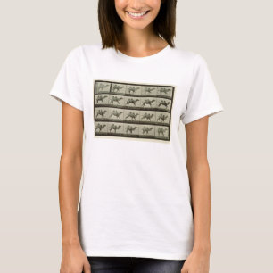 Camiseta Camello, placa de "Locomoción animal", 1887 (b/w p