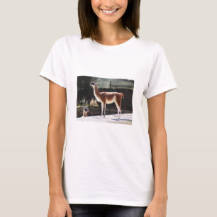 Camiseta Camello salvaje