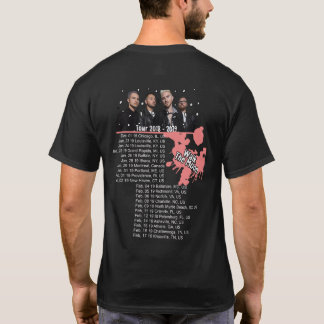 CAMISETA CAMINA EL VIAJE 2018 - 2019 DE LA LUNA