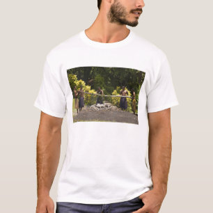 Camiseta Caminantes de fuego, Centro Cultural Polinesio, Vi