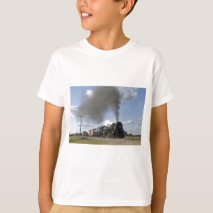 Camiseta Camino 765 de la placa de níquel en carga