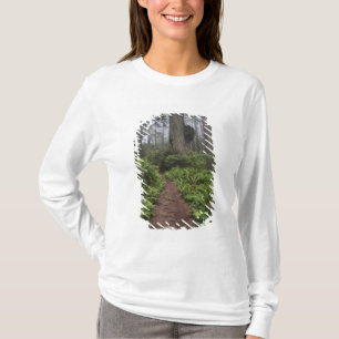 Camiseta Camino a través de los árboles de secuoya gigante 