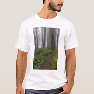 Camiseta Camino a través de los árboles de secuoya gigante 