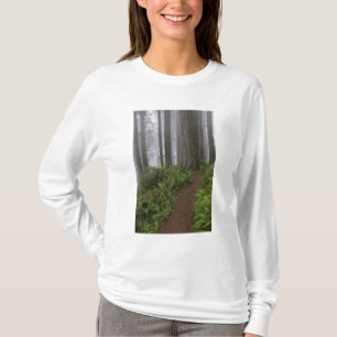 Camiseta Camino a través de los árboles de secuoya gigante