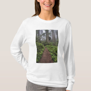 Camiseta Camino a través de los gigantescos árboles de se