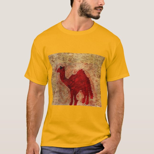 Camiseta Camino de vuelta al frente (Anverso)