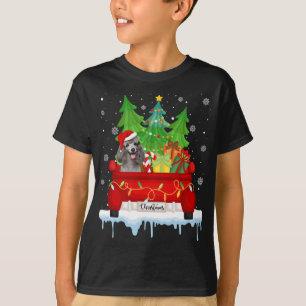 Camiseta Camión Rojo Merry Christmas Tree Xmas Poodle Dog
