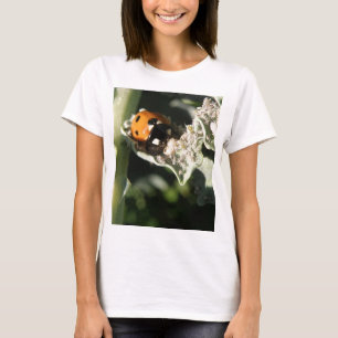 Camiseta Camisas de las Británicas 7 Spot Ladybug Ladies