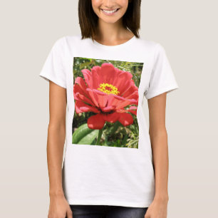 Camiseta Camisas de las Damas de Zinnias Rojas