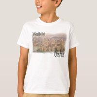 Camisas de Waikiki Oahu