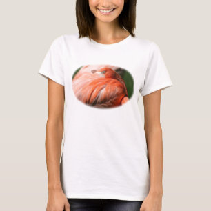 Camiseta Camisas Flamingo