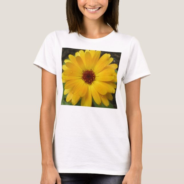 Camiseta Camisas para las macrodamas de oro amarillo (Anverso)