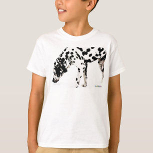 Camiseta Camisas suaves HAMbWG - Dalmación