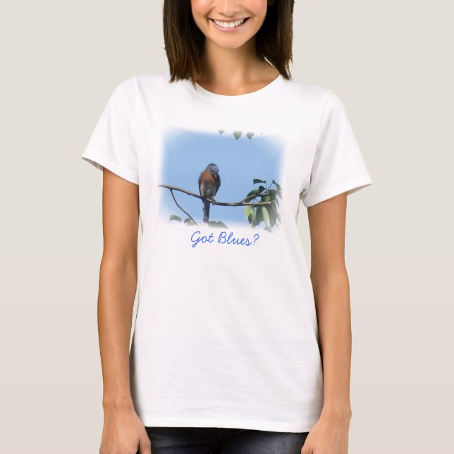 Camiseta ¡Camiseta conseguida de los azules! (Anverso)