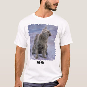 Camiseta ¿Camiseta de Lucifer, qué?