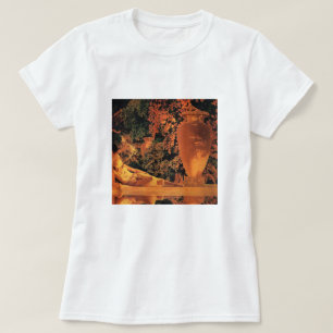 Camiseta Camiseta: Jardín de Alá Maxfield Parrish