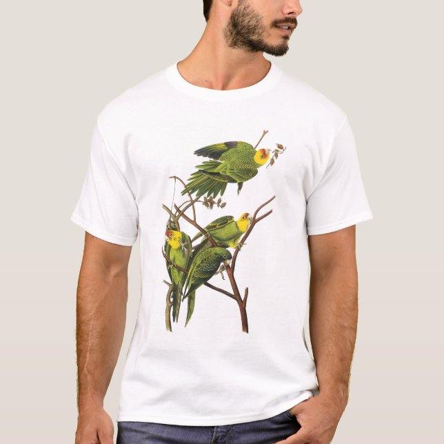 Camiseta Camiseta: Parakeets - de John Audubon (Anverso)