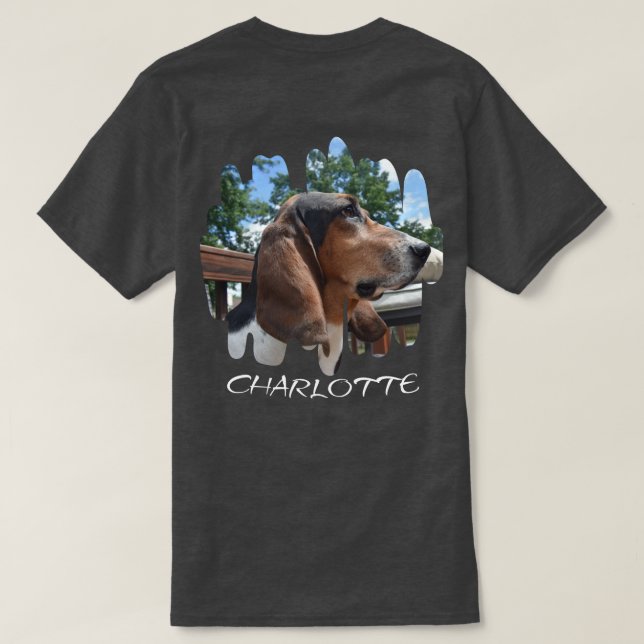 Camiseta CamisetaChar (Reverso del diseño)