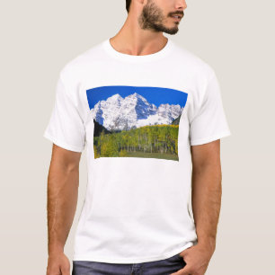 Camiseta Campanas Marrón con bosque de álamos en otoño.
